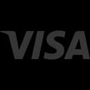 carte visa logo